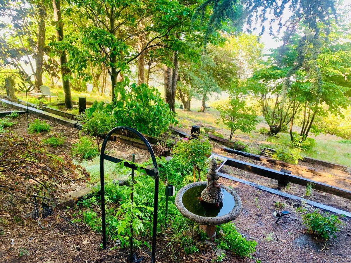 100 Mile View-Fire Pit, Romantic, Peaceful, Private Crestline エクステリア 写真