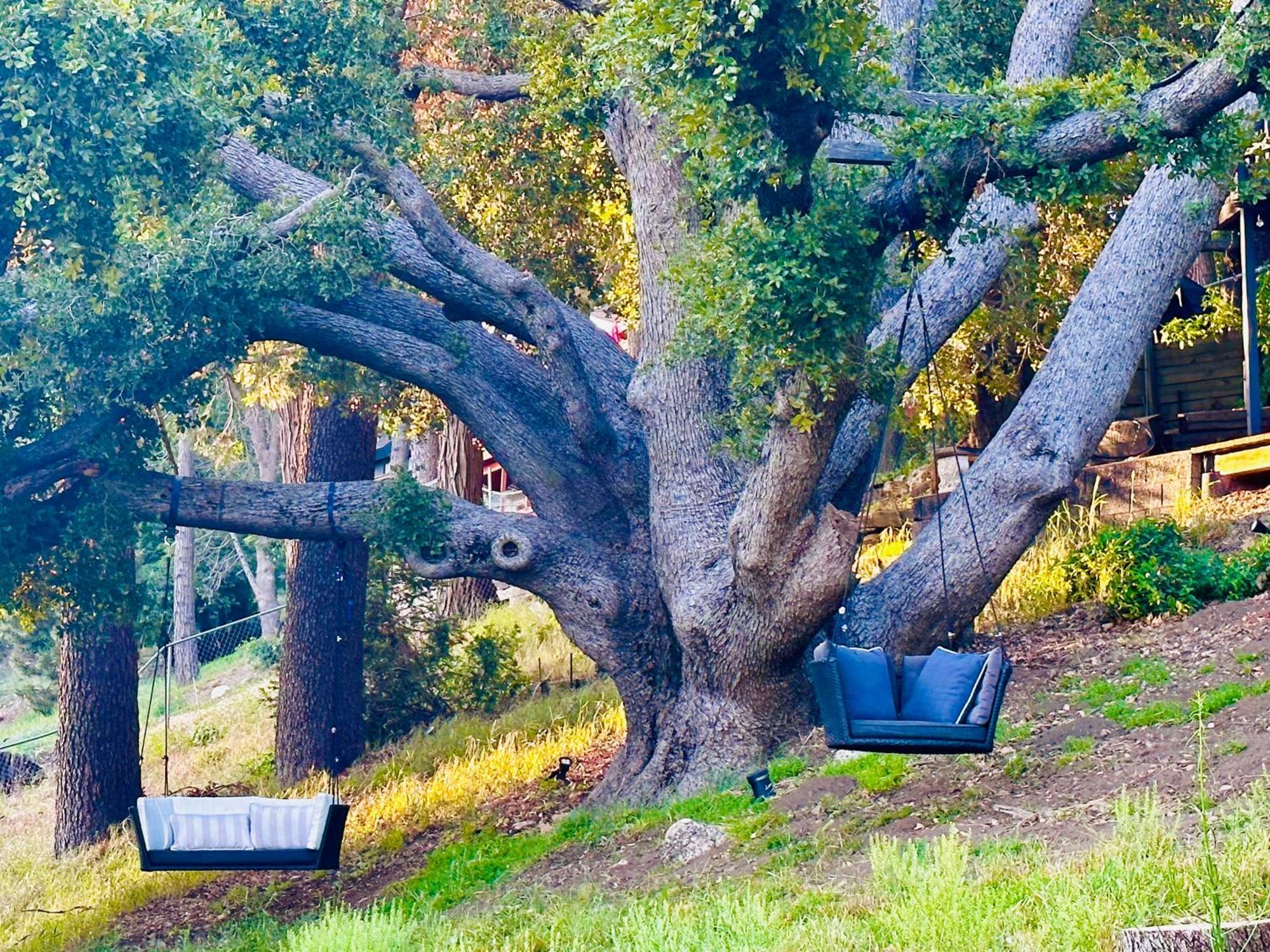 100 Mile View-Fire Pit, Romantic, Peaceful, Private Crestline エクステリア 写真