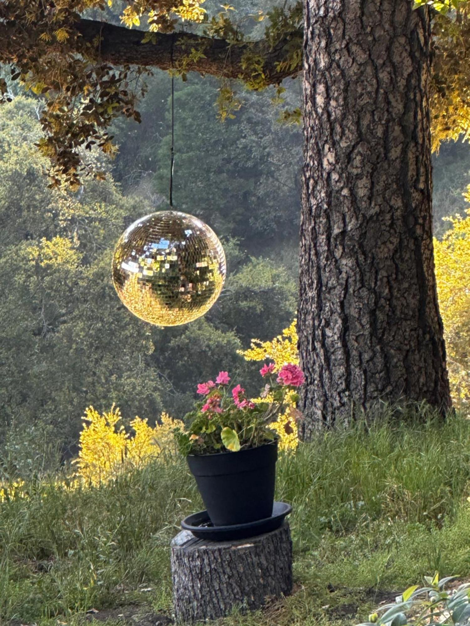 100 Mile View-Fire Pit, Romantic, Peaceful, Private Crestline エクステリア 写真